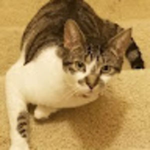 Meet your Posher, Katrina